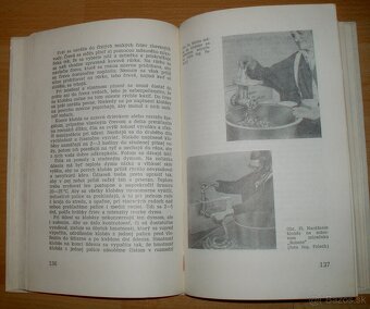 Domáca zakáľačka - 17