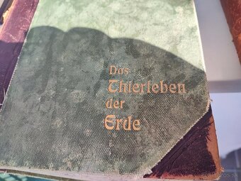 Dve stare knihy - 17