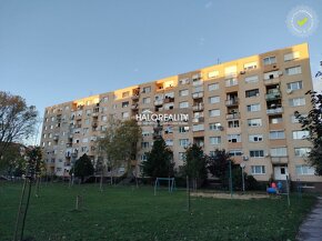 HALO reality - Predaj, trojizbový byt Dunajská Streda, Stred - 17