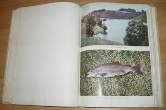 Športové rybárstvo - 17