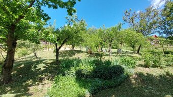 ZÁHRADNA CHATA S VINICOU, JABLONOV NAD TURŇOU - 17