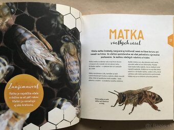Deti ako ja, Školská encyklopédia, Zvonár u Matky Božej - 17