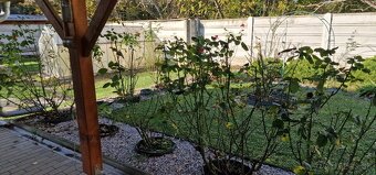 Predám RD r.2010 v tichej časti Šoporňa možnosť dvojgenerač - 17