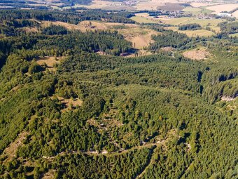 HOSPODÁRSKY LES V OBCI BUDIŠ V OKRESE TURČIANSKE TEPLICE - 17
