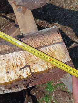 Orechove solitérne fosne na zaliatie živicou - 17