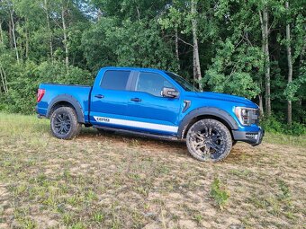Ford f150 LPG - 17