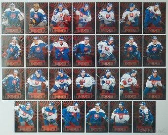 Hokejové kartičky HOKEJOVÉ SLOVENSKO 2024 - A L B U M - 17