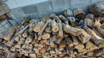 Predam palivove drevo - 17