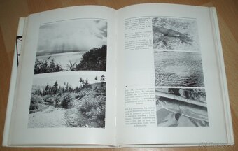 Hlavátka - 17