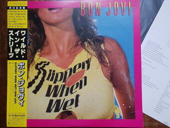 PONUKA VINYLOCH ALBUMOV NA PREDAJ - 17