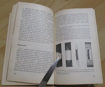 Štěpování - 17