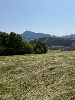 Ponúkam na predaj seno - 17