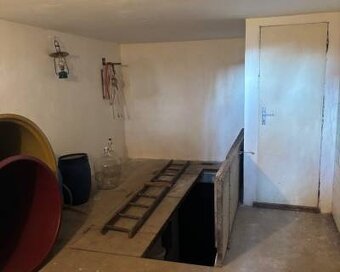 PREDAJ, VINIČNÝ DOMČEK S VINOHRADOM - PODLUŽANY - 17