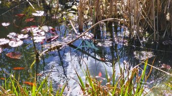 Rodinný dom na ul. Ľ. Štúra vo Veľkom Krtíši. - 17