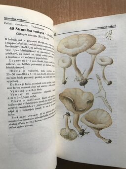 5 x literatura o hubach - 17