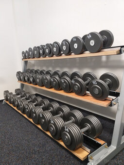 Profi jednoručky 2 - 100kg - 17
