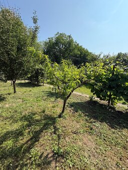 Kvalitná murovaná  chatka v Šali pri rieke Váh - 17
