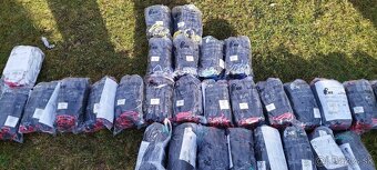 Pracovné rukavice BRITA CXS Canis, veľkosti 7, 8, 9, 10. - 17