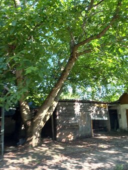 Znížená  Na predaj Rd Jur nad Hronom  Okres Levice - 17