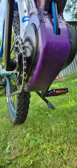 Predam elektrobike Cussis Fiona 8.6 17" - 17