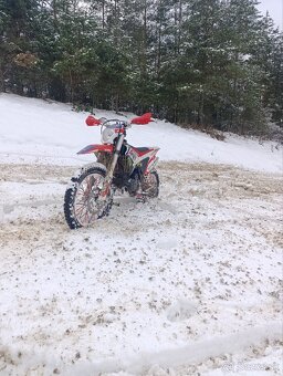 Dirt bike Apollo lizard RFZ 250 - 17