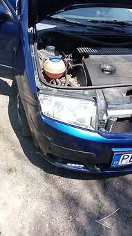 Fabia - 17