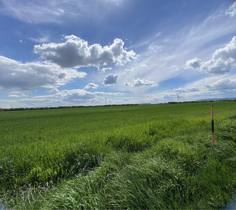 Pozemky v krásnom prostredí v Chorvátskom Grobe za priaznivú - 17