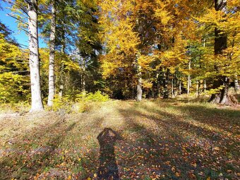 Vymením 3,8 ha lesného pozemku za ornú pôdu - 17