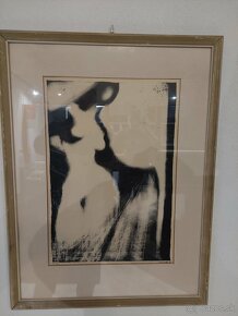 ZNÍŽENÁ CENA-Fabini,Szmutková,Votruba,Käriny,Stempel,Kudláč - 17