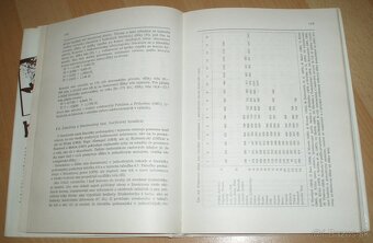 Hlavátka - 17