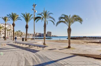 Španělsko – Torrevieja, Parque de las Naciones - 17