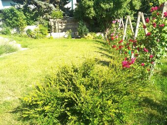 PREDAJ- rodinný dom v obci Cífer - 17