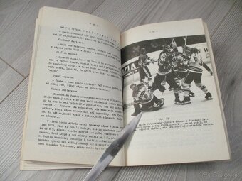 Hokej 75 Mníchov - Dusseldorf - 17