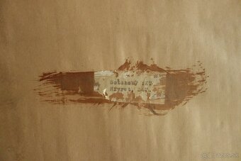 Obraz - Botanský - návrat - 17