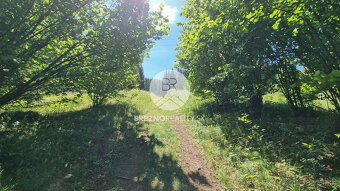 Rekreačný pozemok s drevenicou – Hronec - príroda, výhľady,  - 17