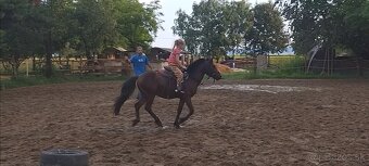 Jazdenie na koňoch - 17