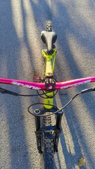 Kellys whip 10 2018 - 17