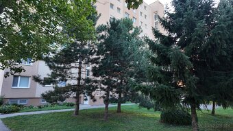 3izb byt so zariadením na Mlynskej ulici, DS - 17