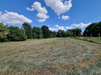 RODINNÝ DOM a POZEMOK 3783 m2 ČERMANY TOPOĽČANY - VOĽNÝ - 17