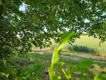 Na predaj stavebný pozemok na RD v obci Tehla, 1025 m² - 17