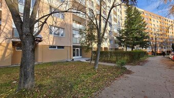 1 (až 1,5) izbový byt, Hemerkova ul, 36 m2, lodžia, upravený - 17