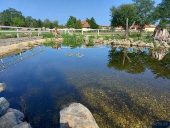 JEDINEČNÁ JAZDECKÁ FARMA V ÚPLNOM SÚKROMÍ - 17