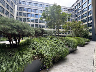 Prenájom obchodného priestoru 333 m² v skvelej lokalite v ce - 17