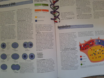 The Body - Organs, Body Systems, Functions - 17