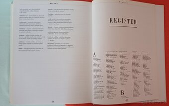 STAROŽITNOSTÍ ILUSTROVANÉ DEJINY- 100% stav - 17