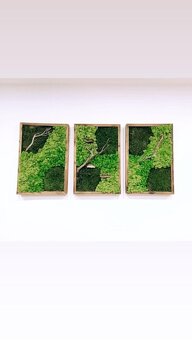 🌿 Machové obrazy na mieru – príroda vo vašom interiéri - 17
