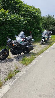 HARLEY DAVIDSON ROADSTER 1200 - 17