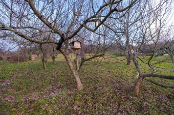 CHATKA SO ZÁHRADOU, PREŠOV – ŠIDLOVEC - 17