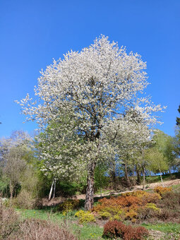 ubytování - 17