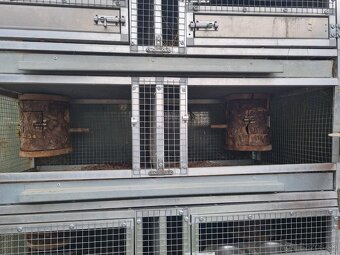 Hlinikové voliéry,klietky pre papagáje - 17